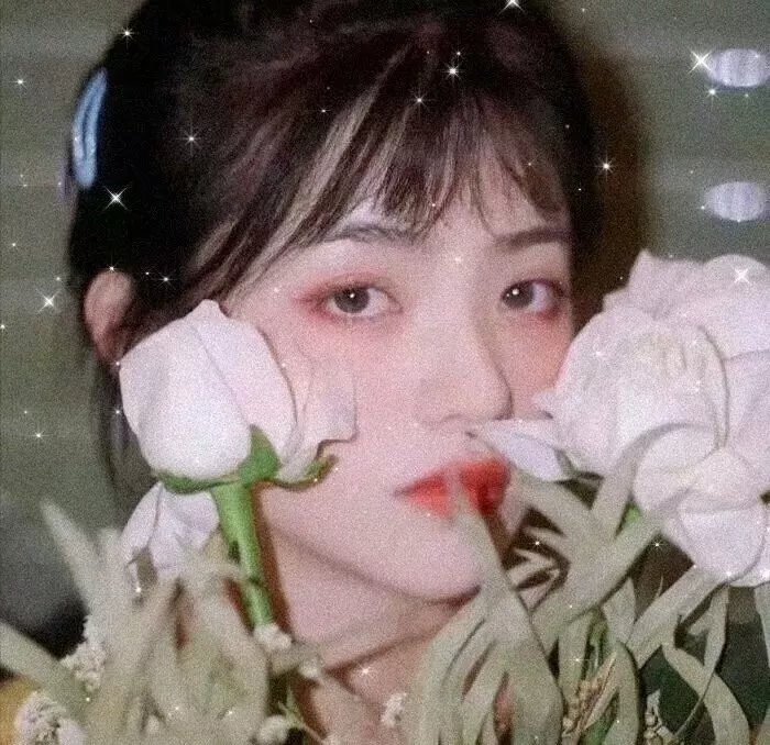风流十七年