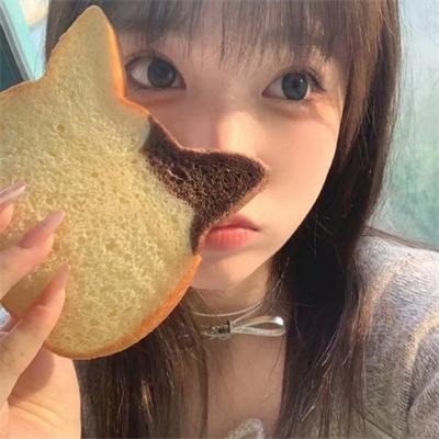 爱出猫